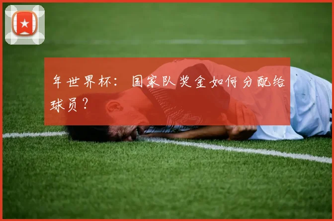 年世界杯：国家队奖金如何分配给球员？