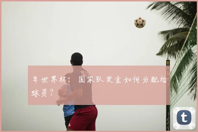年世界杯：国家队奖金如何分配给球员？